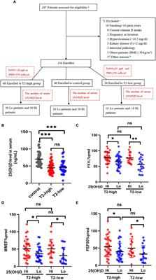 Evaluating the effects of vitamin D Level on airway obstruction in two asthma endotypes in humans and in two mouse models with different intake of vitamin D during early-life